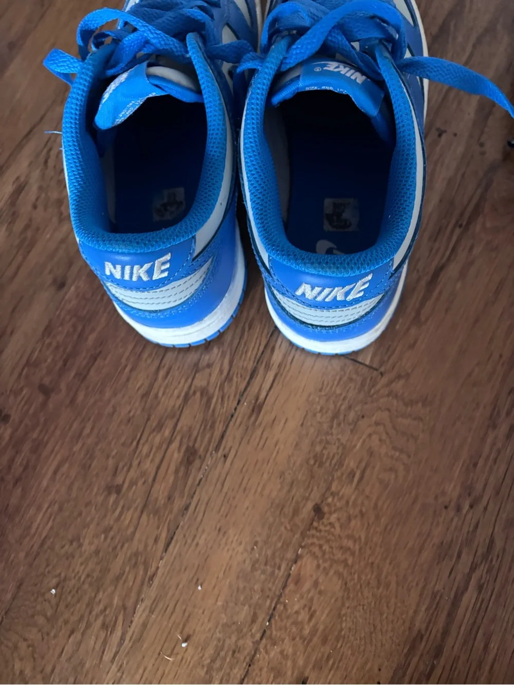 Nike Kids' Dunk Blue and Gray Low-Top Sneakers